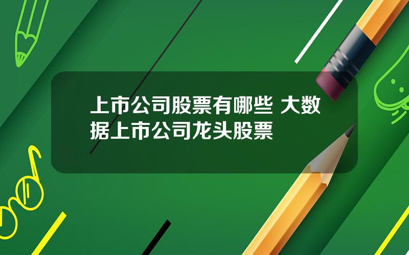 上市公司股票有哪些 大数据上市公司龙头股票
